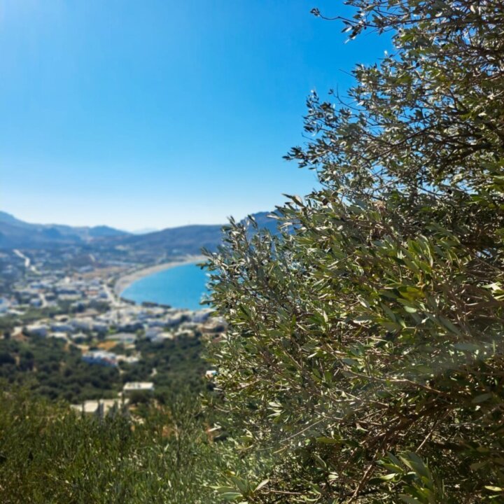 c8a93b26-b7e4-469d-8907-5bf7f38b73a5